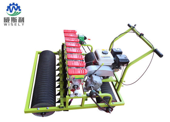 Trung Quốc Động cơ xăng 8 hàng máy trồng xà lách xanh dùng trong nông nghiệp nhà cung cấp